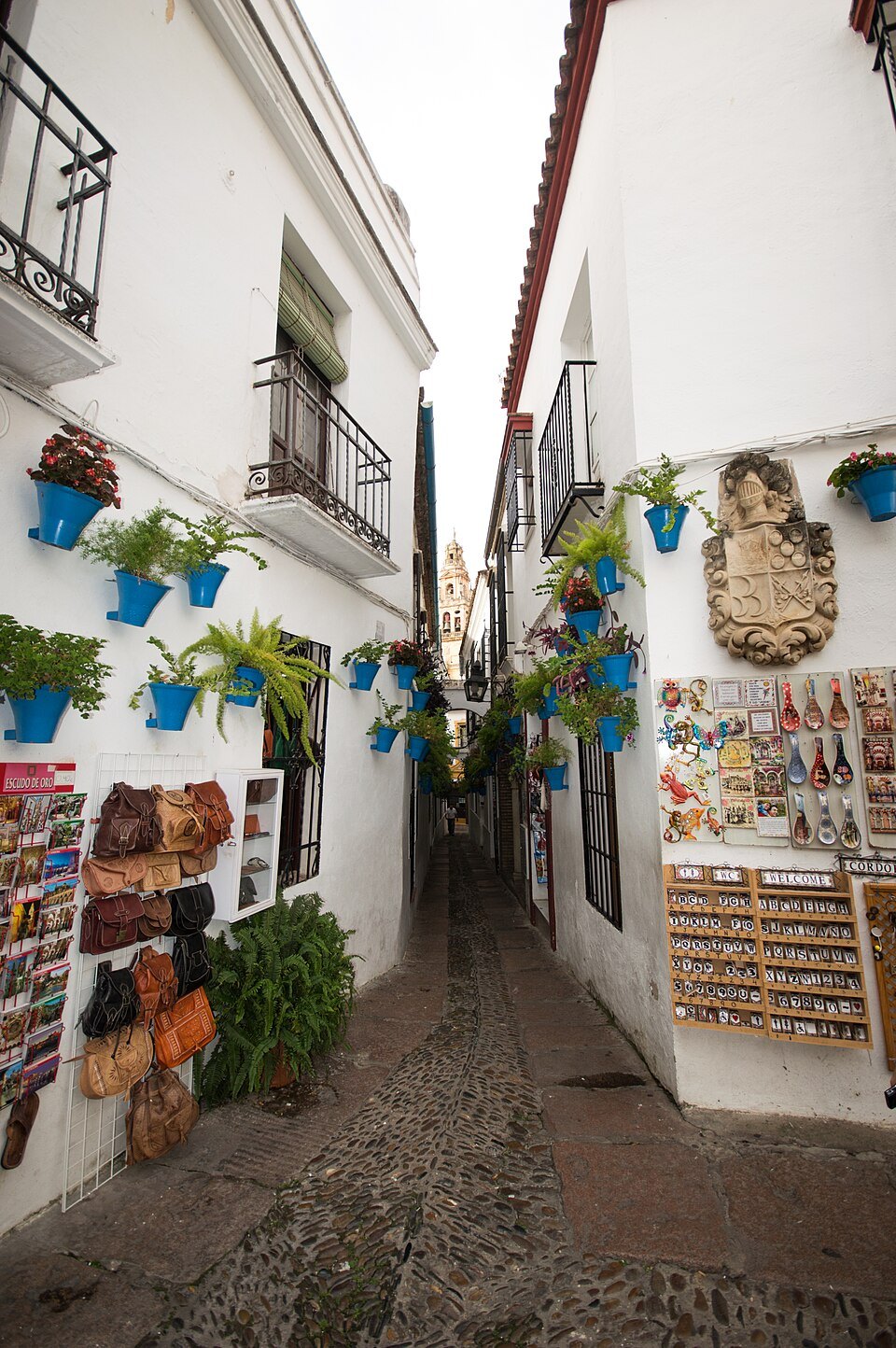 Calleja de las Flores