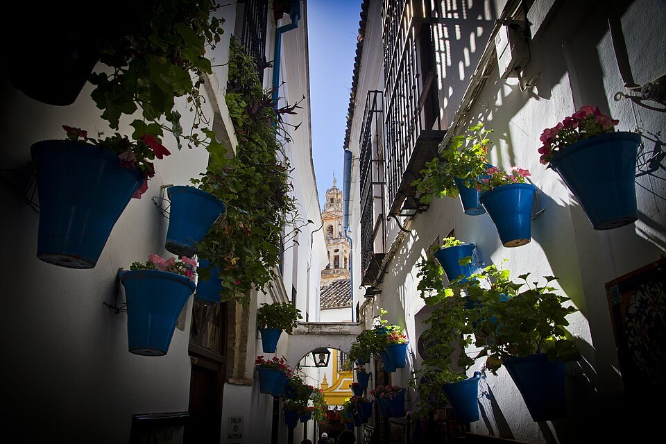Calleja de las Flores