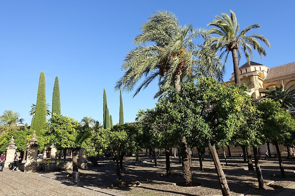 Patio de los Naranjos